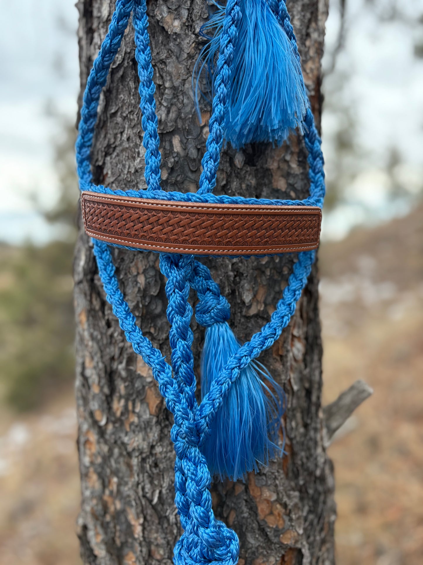 Basket Stamped Mule Tape Halter