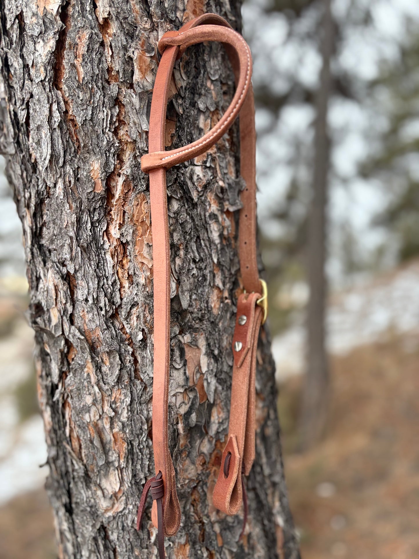 Harness Leather Slide Ear Headstall w/ Brass Buckle