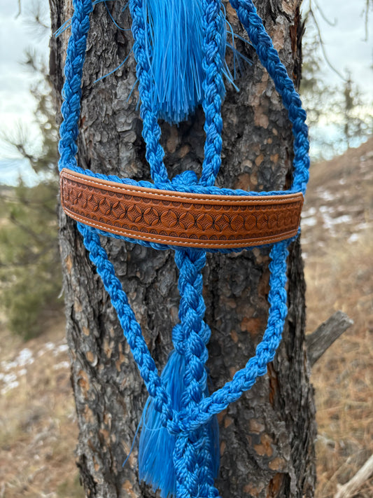 Stamped Mule Tape Halter