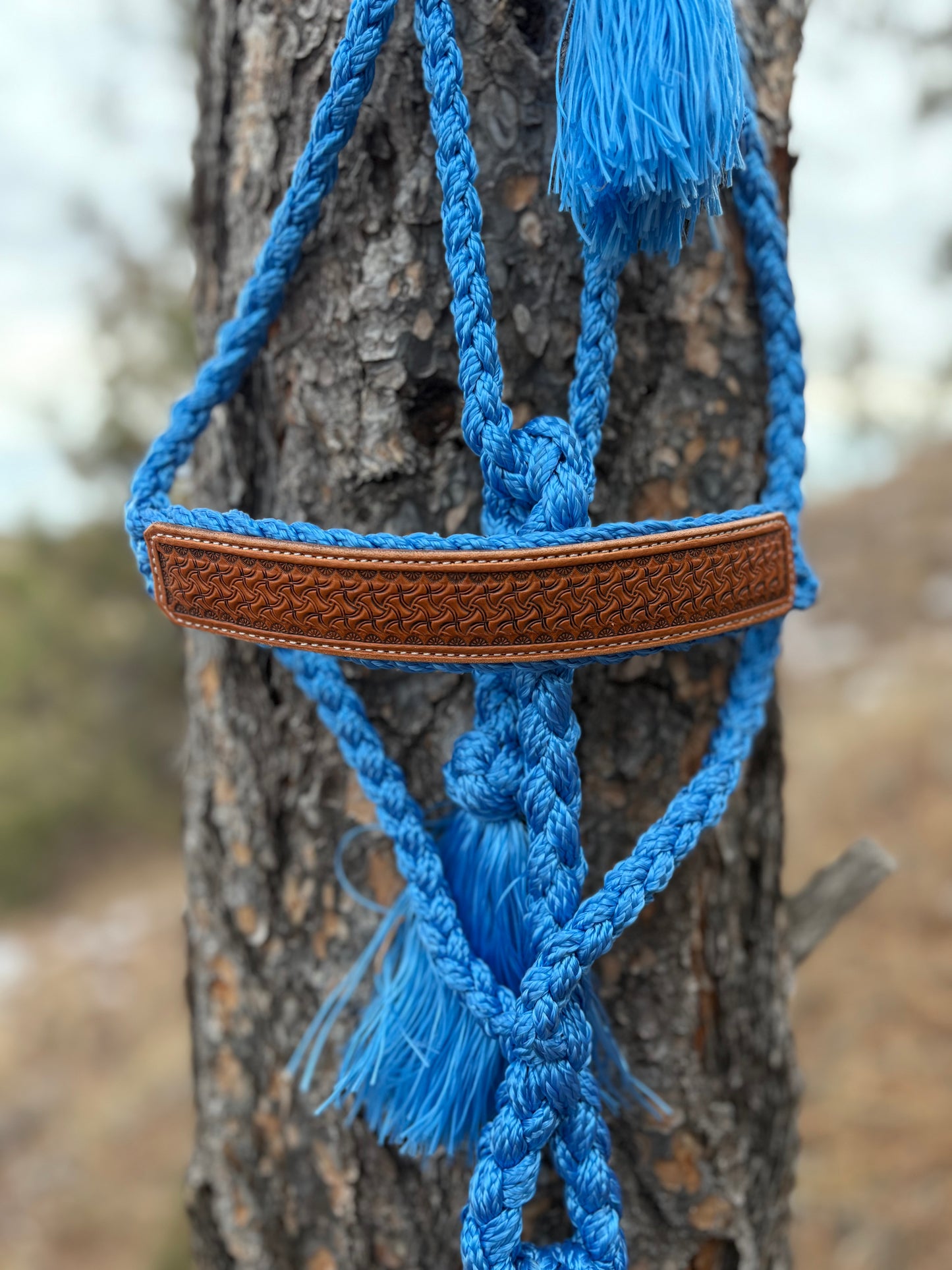 Stamped Mule Tape Halter