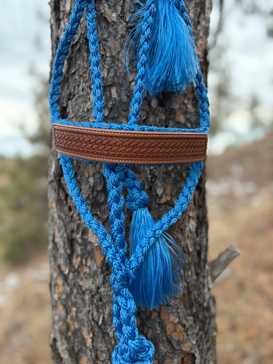 Basket Stamped Mule Tape Halter