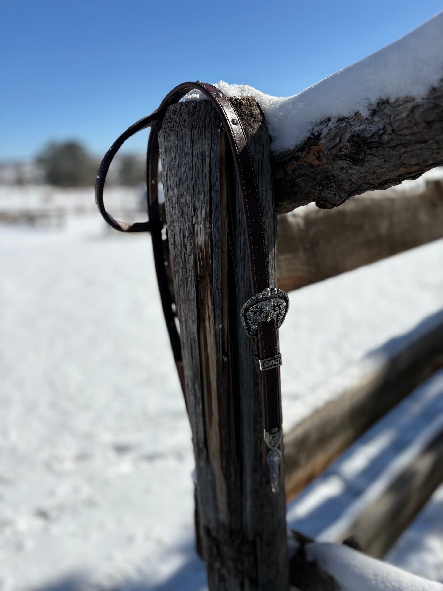 Dark Brown Slide Ear Headstall With Spoon Hangers And Handmade Buckle