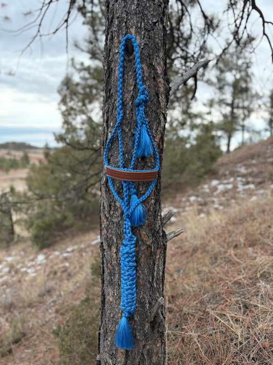 Basket Stamped Mule Tape Halter