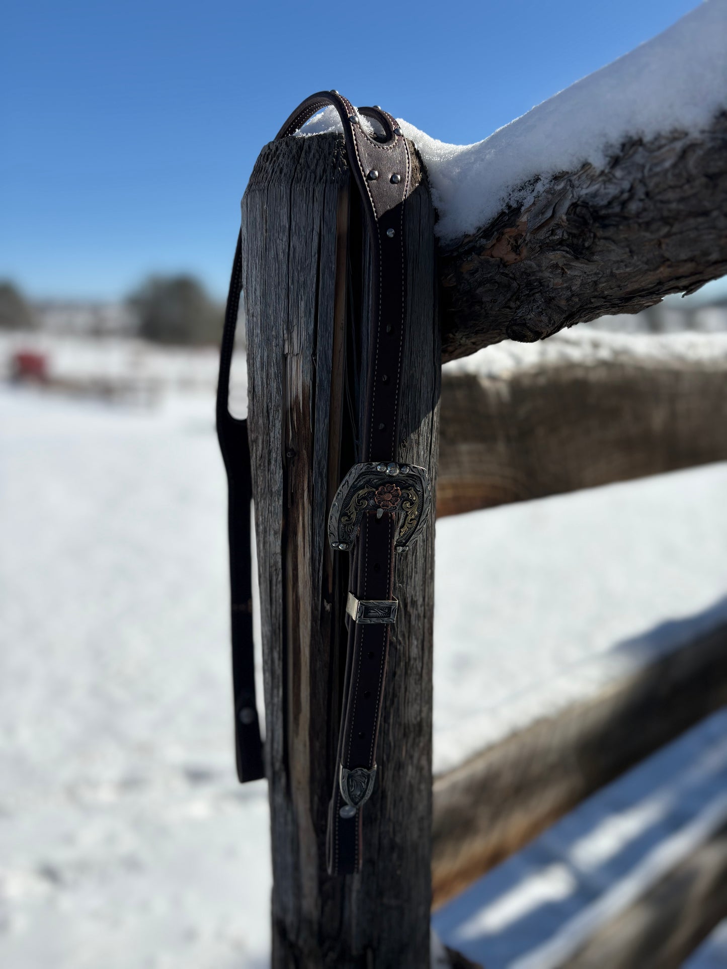 Dark Brown Headstall With Spots And Handmade Buckle