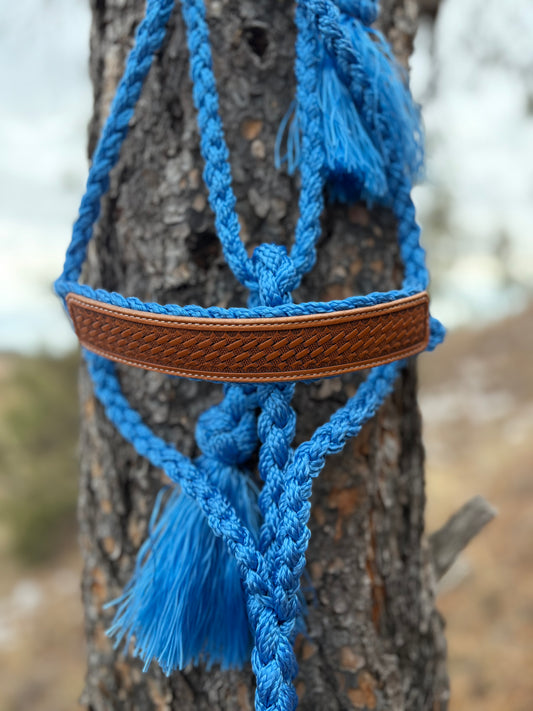 Basket Stamped Mule Tape Halter