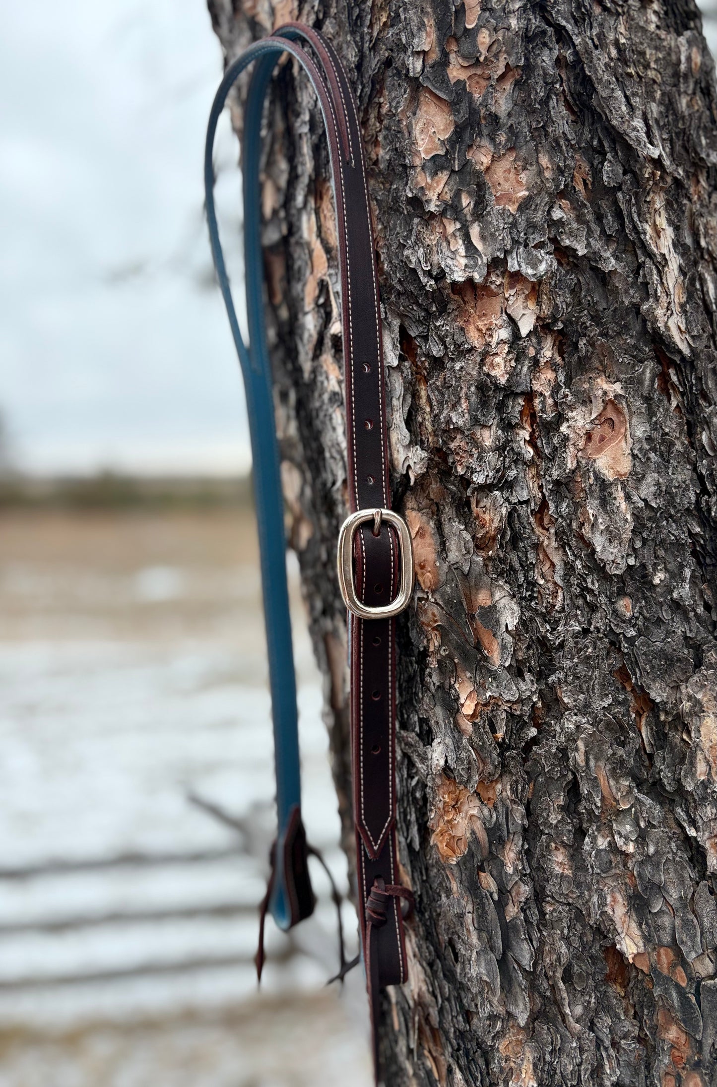 Latigo Split Ear Headstall w/ Nickel Buckle