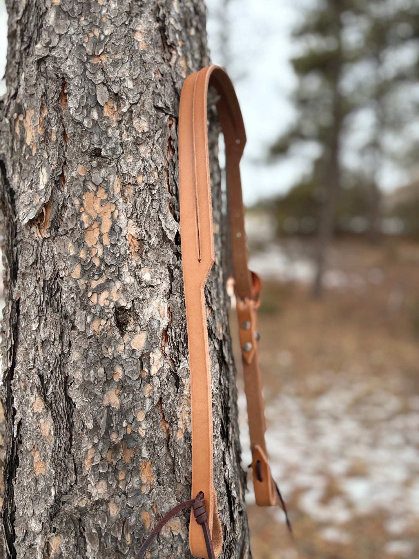 Harness Leather Split Ear Headstall w/ Copper Feather Buckle