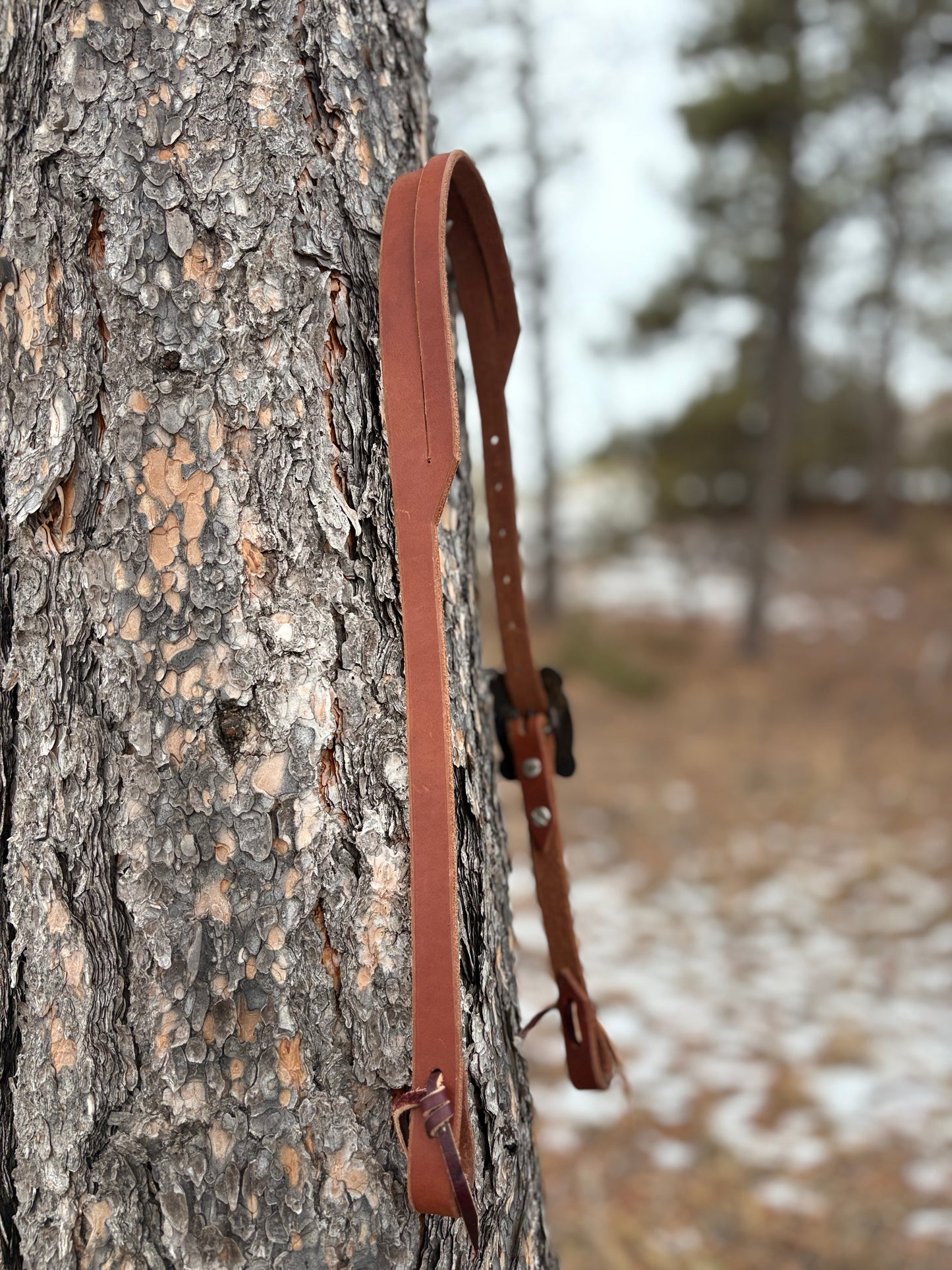 Harness Leather Split Ear Headstall w/ TC Team Roper Buckle