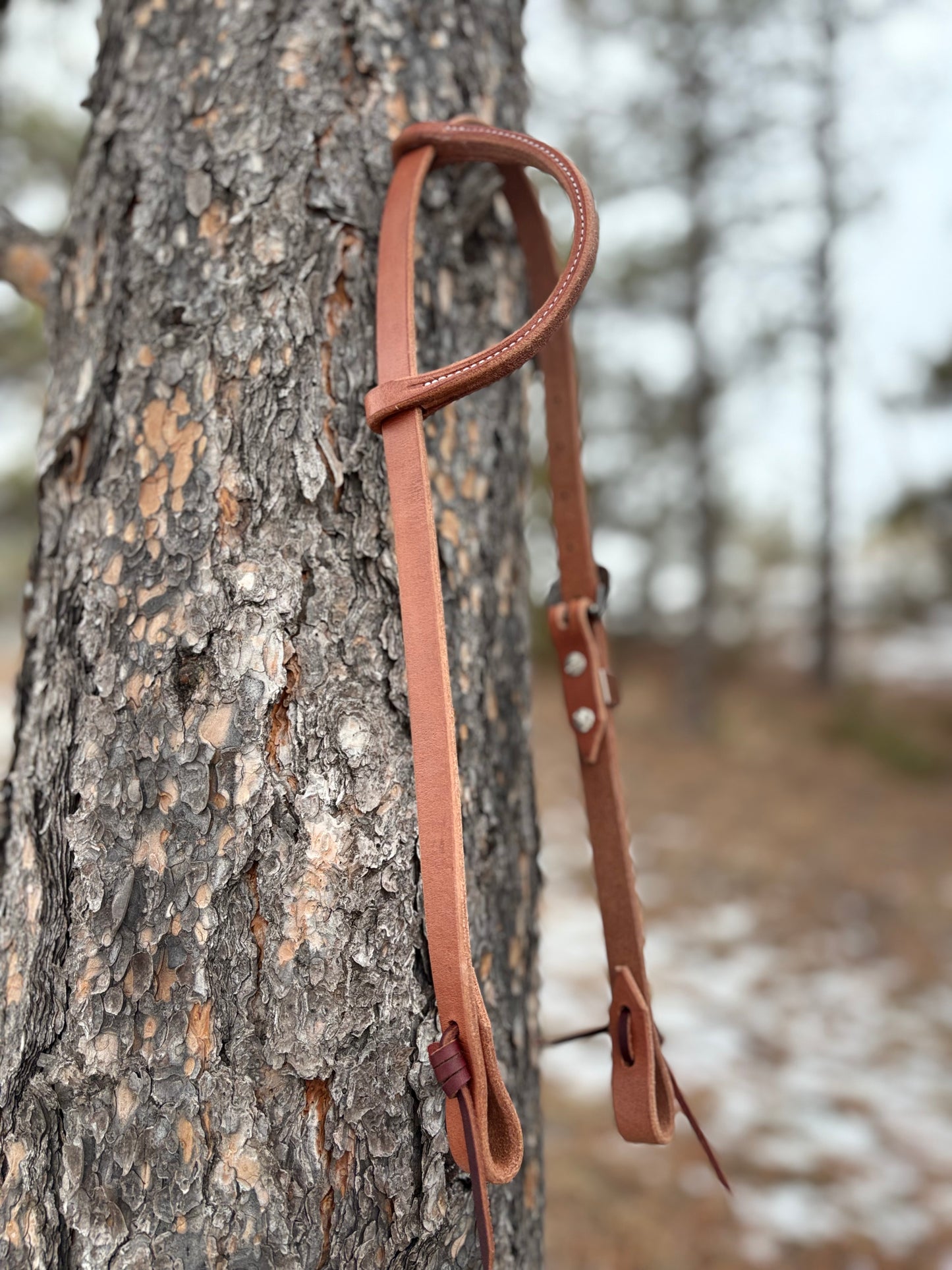 Harness Leather Slide Ear Headstall w/ Jeremiah Watt Buckle