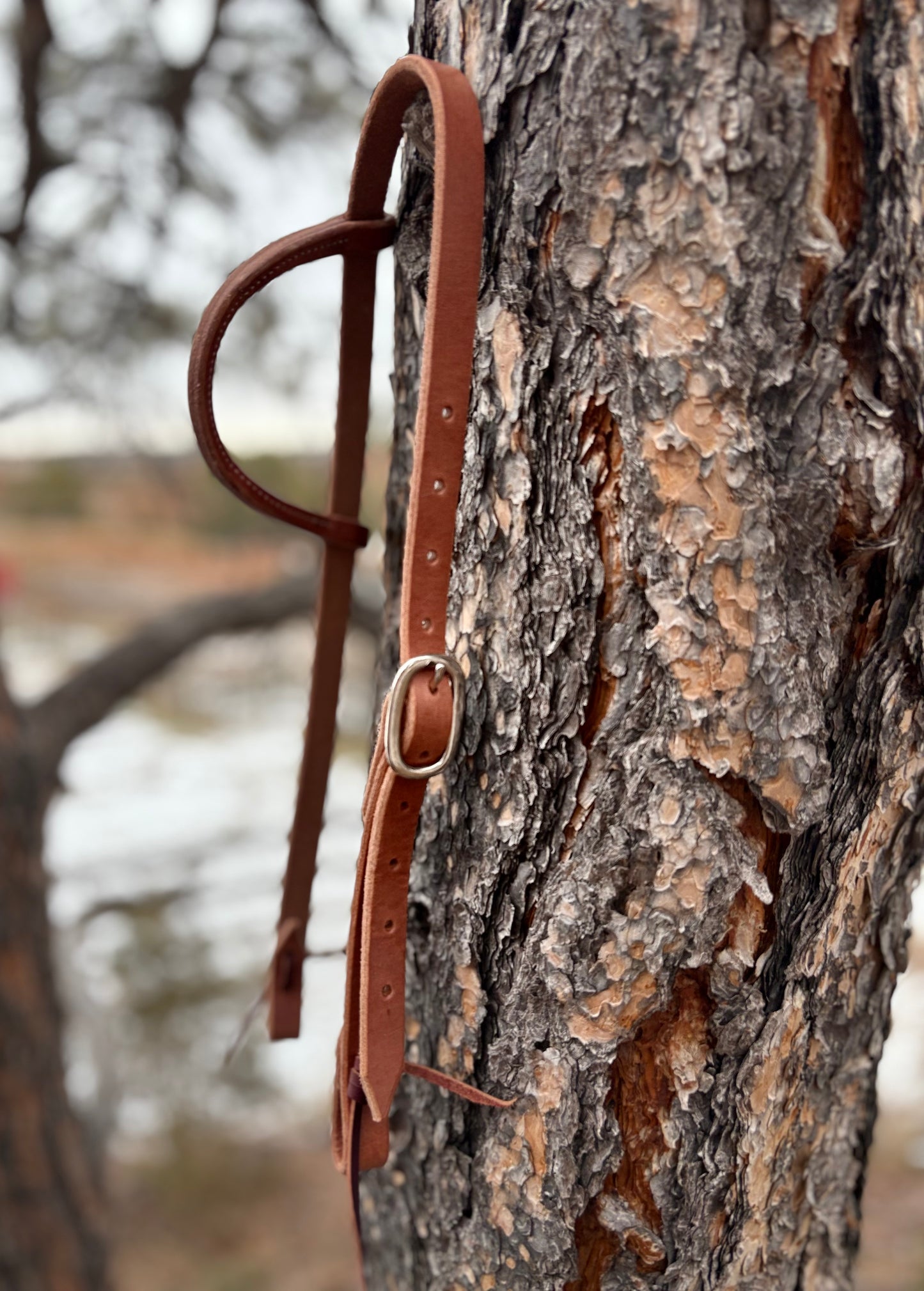 Harness Leather Slide Ear Headstall w/ Nickel Buckle
